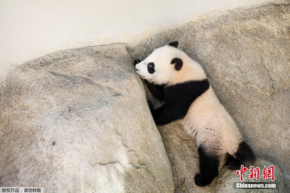 操中国老女人