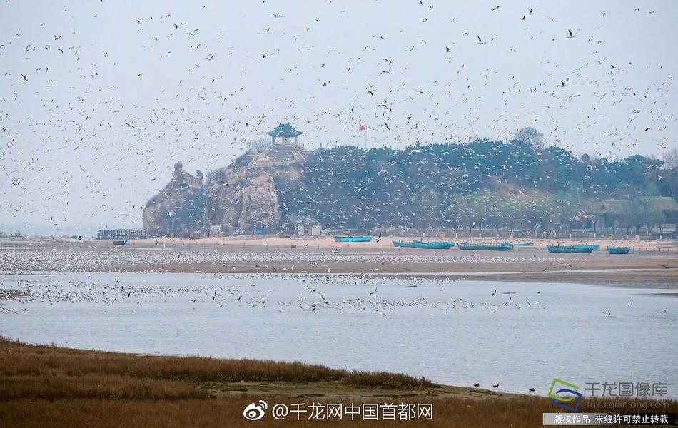 鲁丝片一区二区三区四川人
