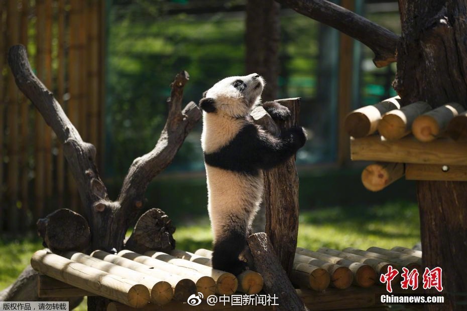 色情软件