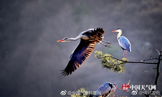 操骚逼Hd