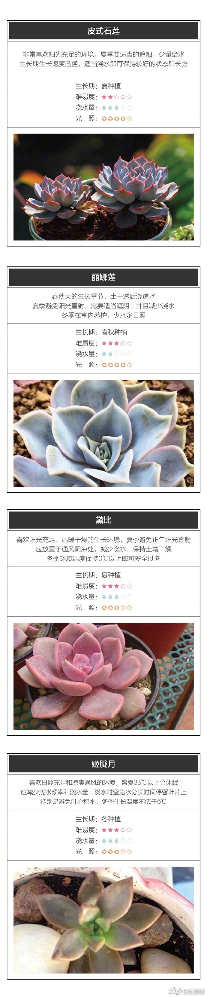 韩国黄色Xxxx片