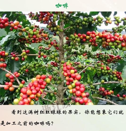 在线免费黄色网站