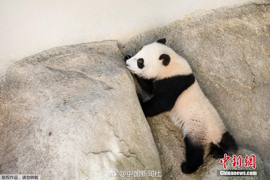 黄片视频免费不用下载