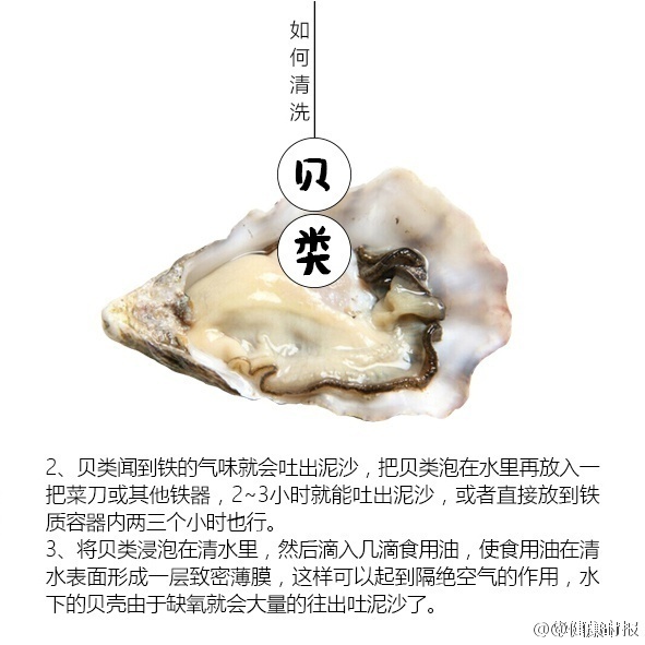金梅瓶