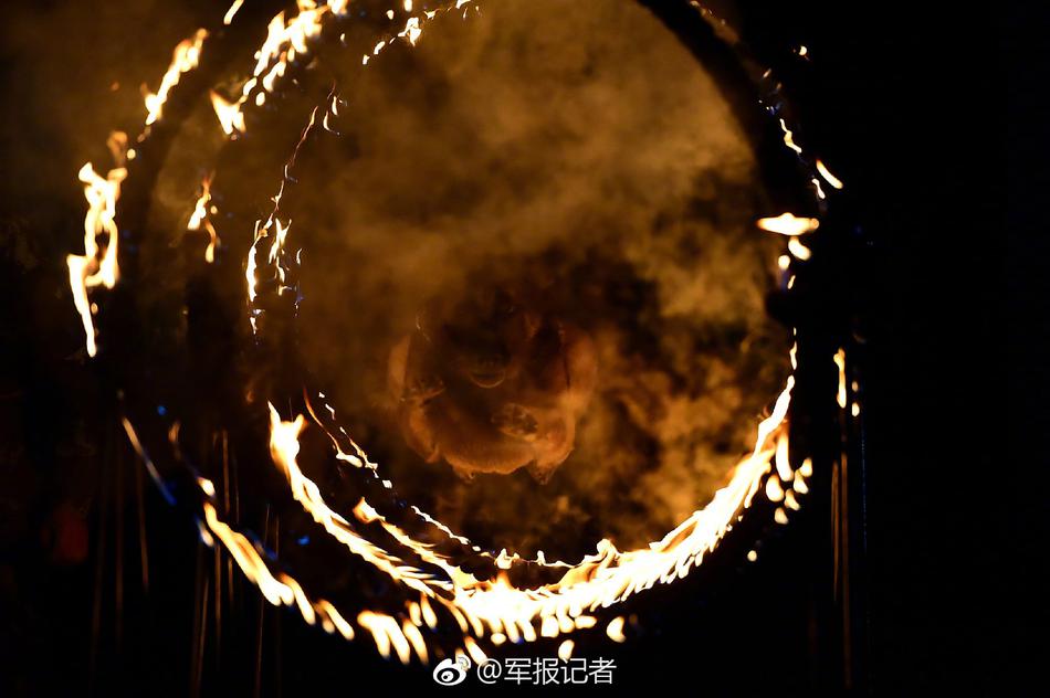 三级a做爰全过程