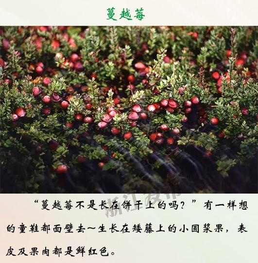 线 上 成人 短 片