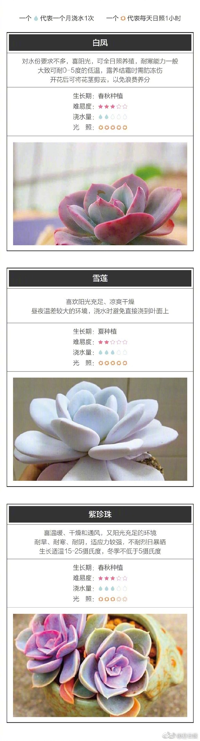 性爱视频网站