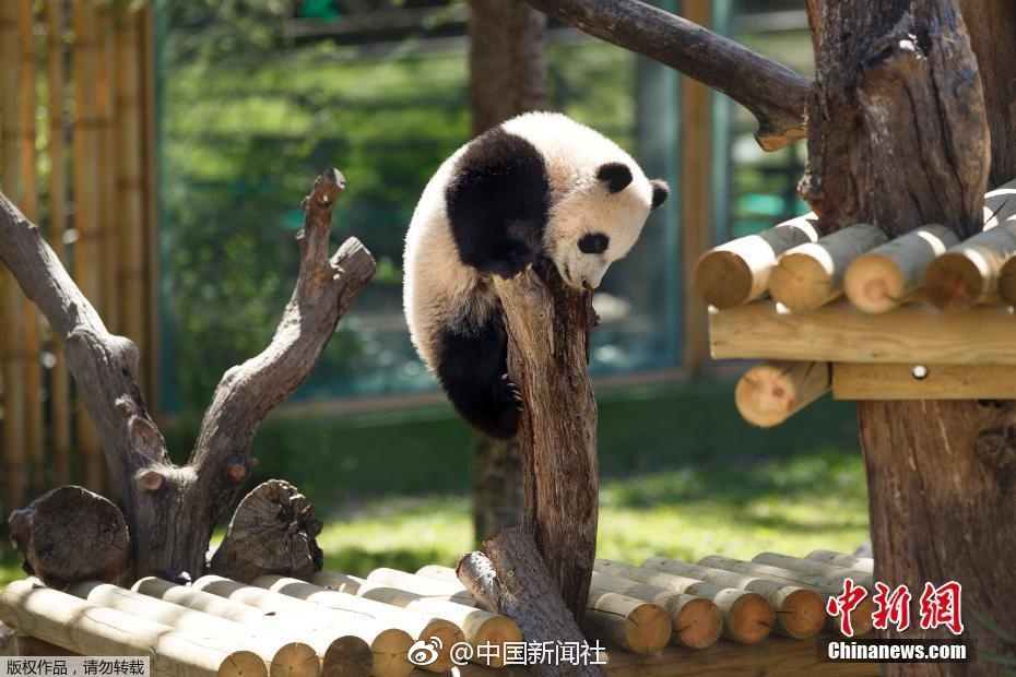 黄色免费网
