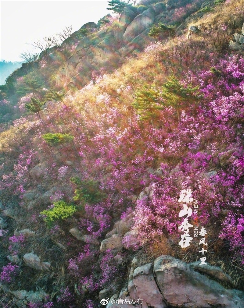 日韩欧美三级