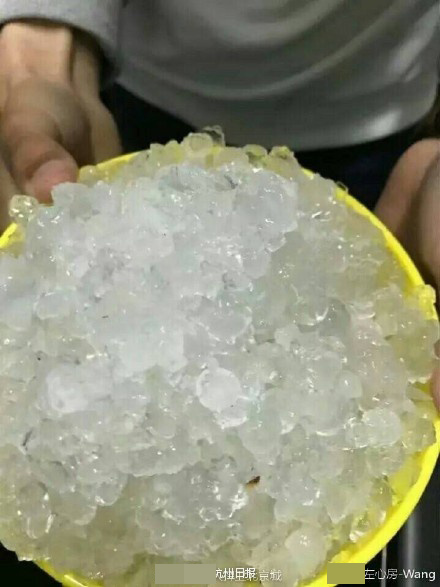 农村玌伦小说