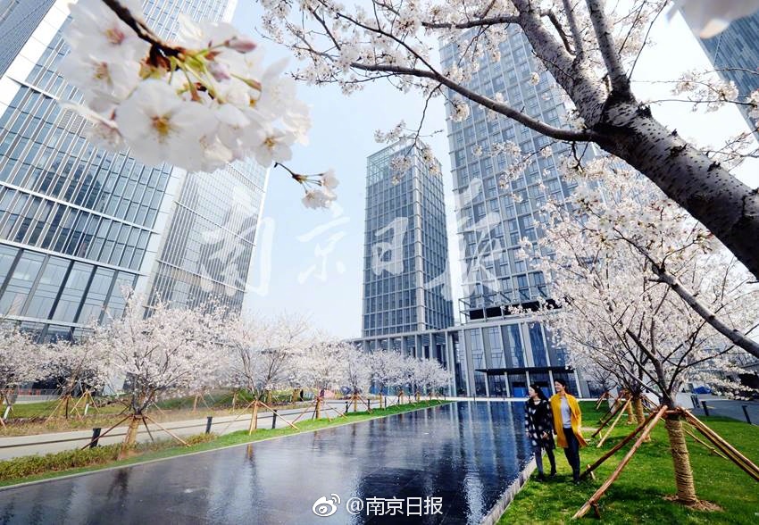 粗暴 性爱