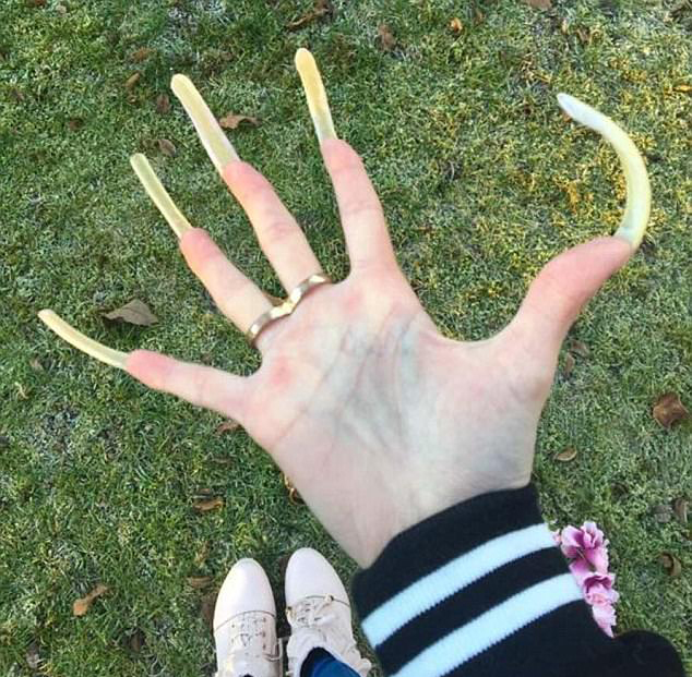 黄色视频在线免费观看的一区二区的