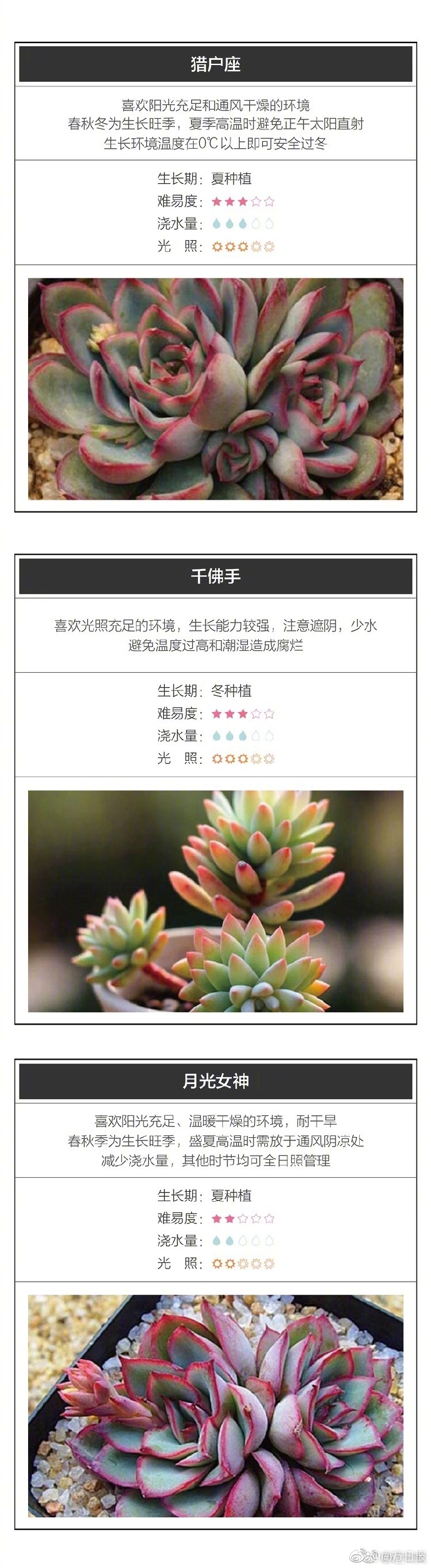 偷拍女人Bbw