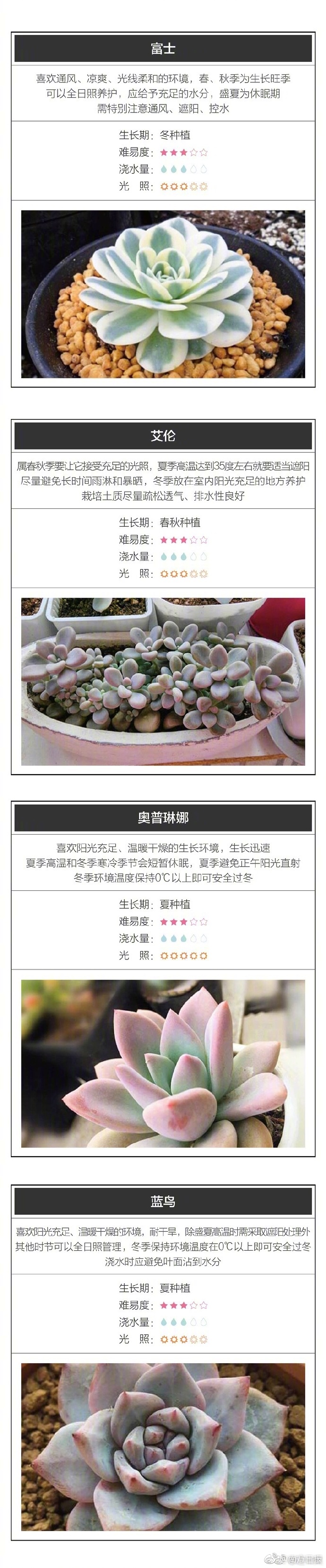 鬼滅之刃戀柱