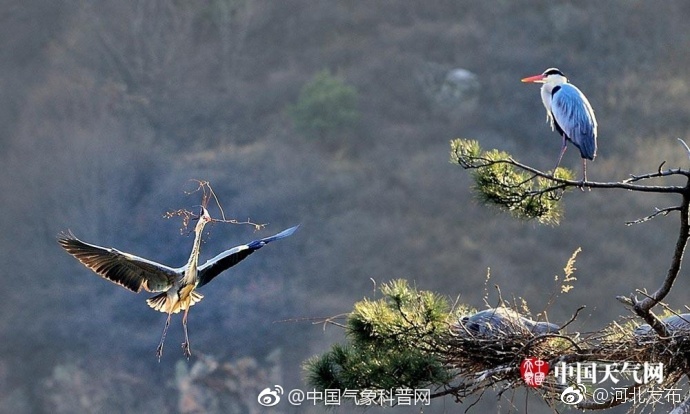 成人 网站 集合