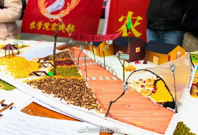 天天爽天天操