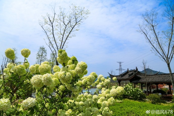 播放宝岛台湾三级片