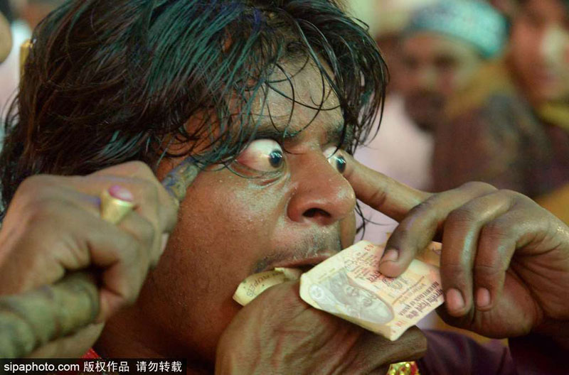 给我播放个免费的黄片