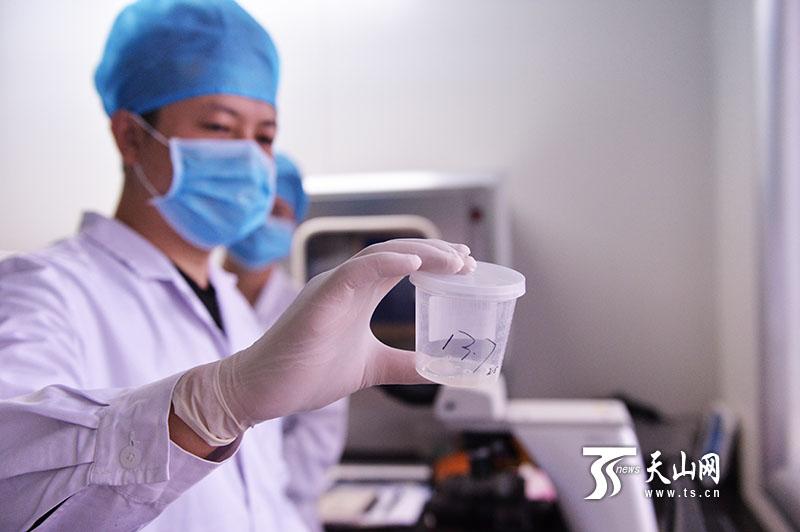 欧美熟妇黄片
