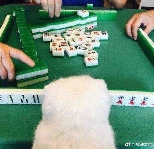一母四女一婿胡本兴