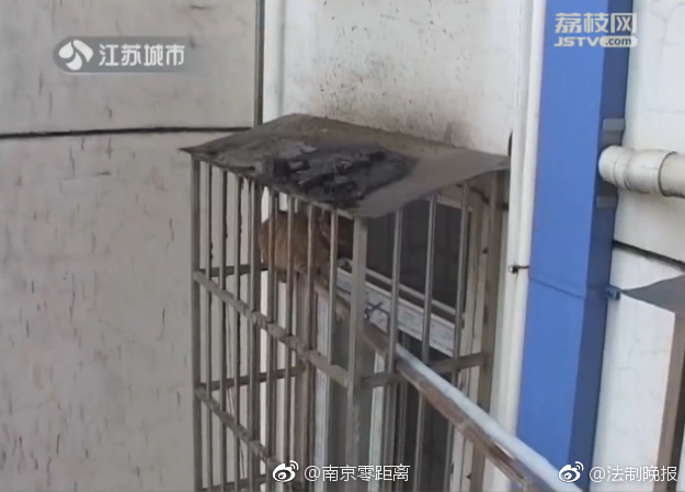 全球精品A?人妻无码