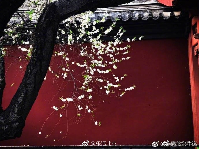 欧美乱伦喷水