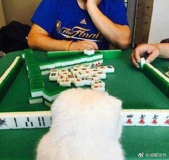 久久乐精品