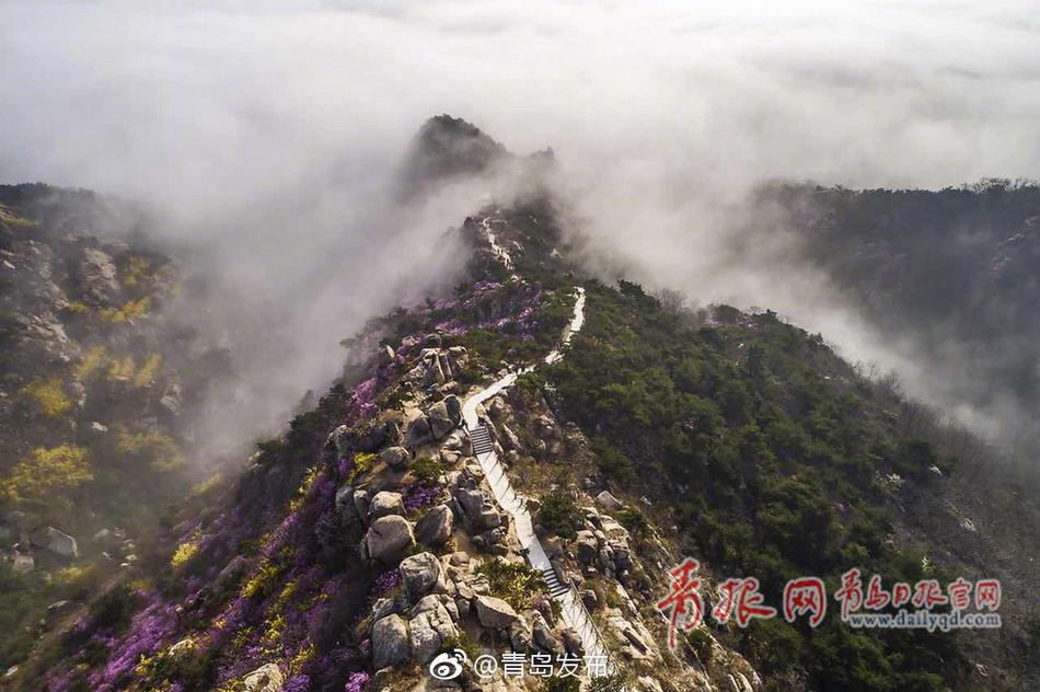 粉色视频苏晶体结构abb