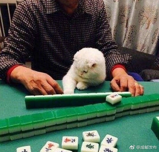 在线黄网