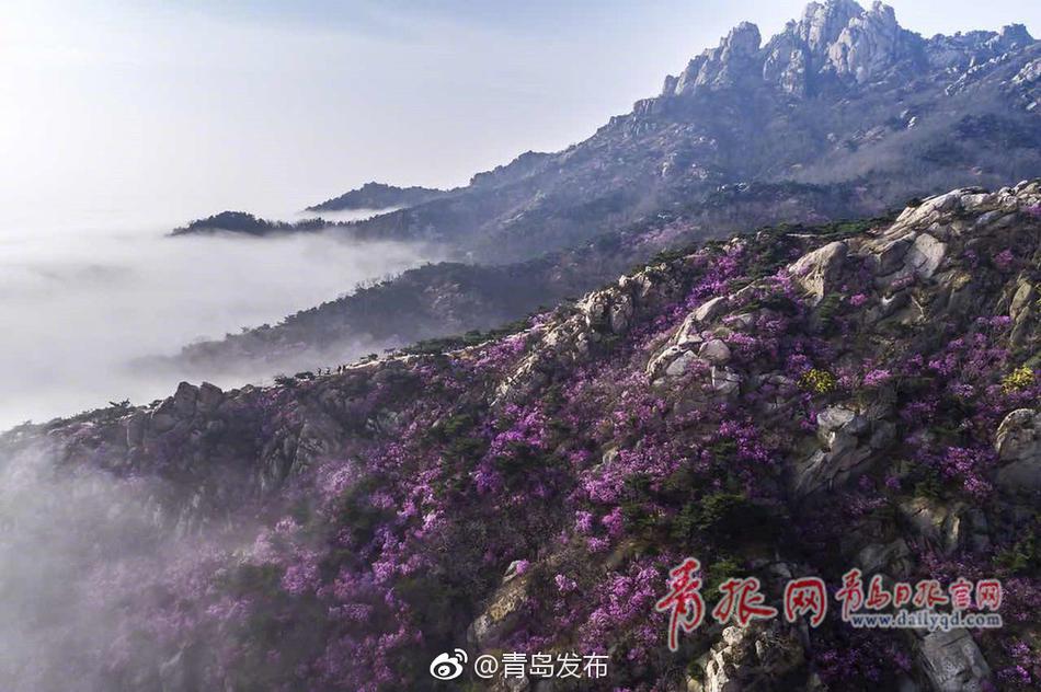 少妇与公豬交HDXXX