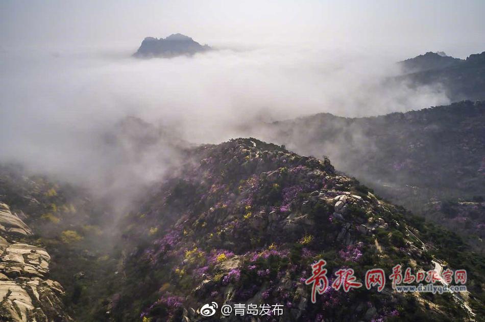 性爱 免费 电影