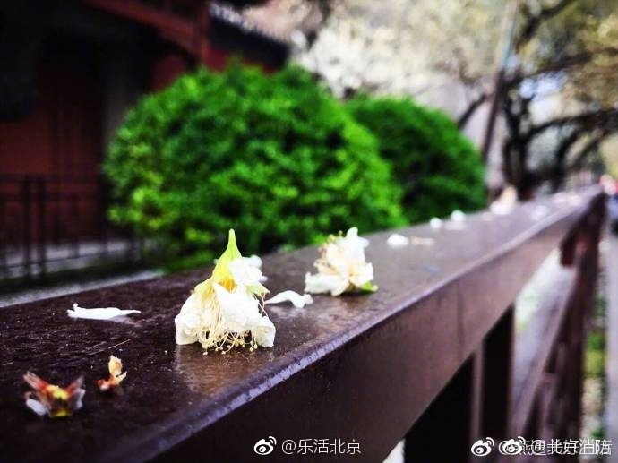 欧美一级裸片