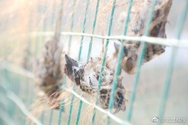 森下悠里
