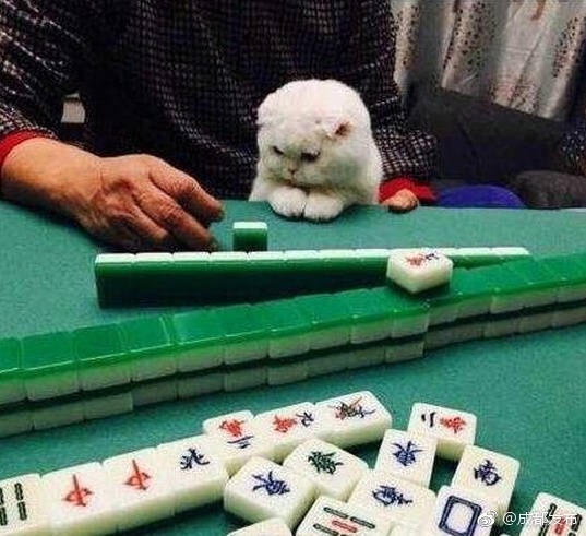 我和小 在厨房做爰