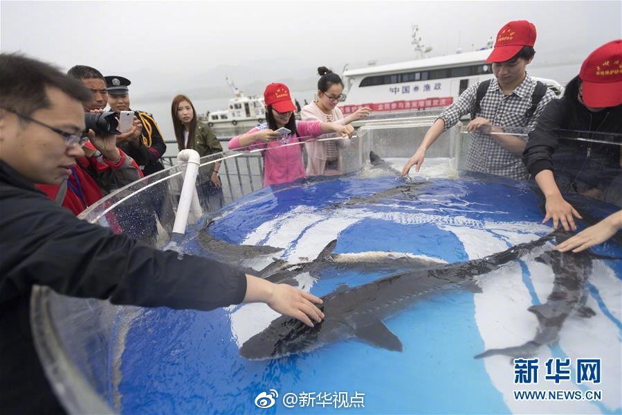 少妇人妻偷人无码视频