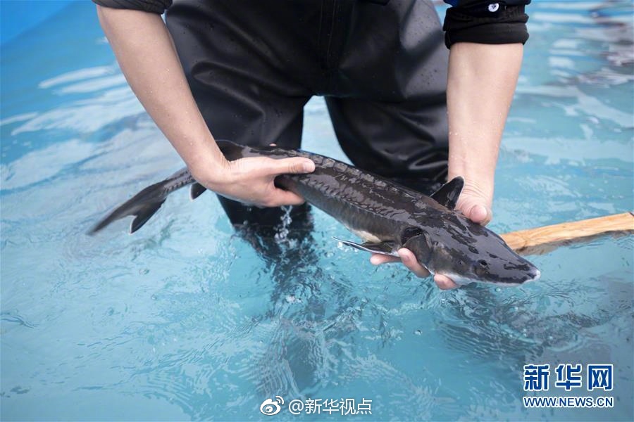 外出按摩
