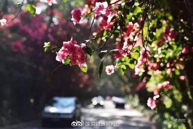 中国耄耋老太性视频Hd