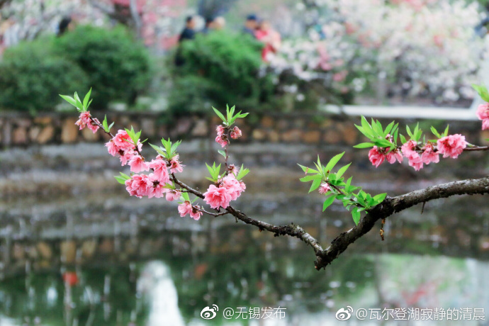 A欧美A级片