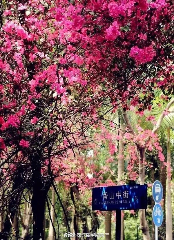 性爱巴士2