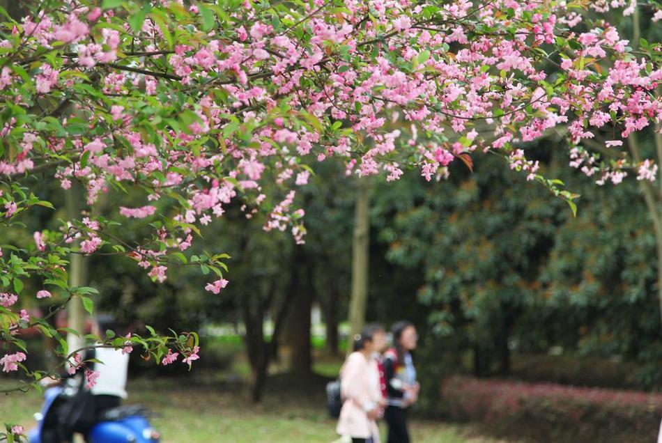 苍井空51分钟无删减毛片小说