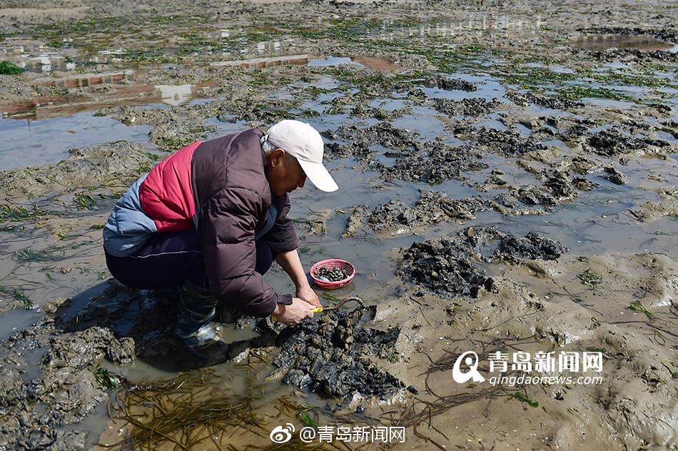 高清黄色18禁二次园图片网站