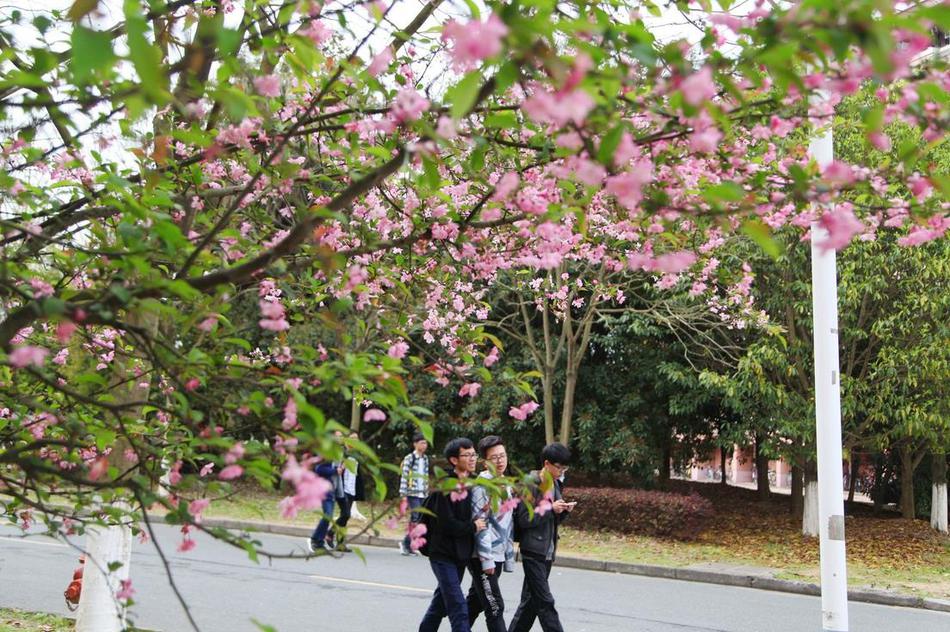 女同玩弄+跪趴+调教+嗯啊m
