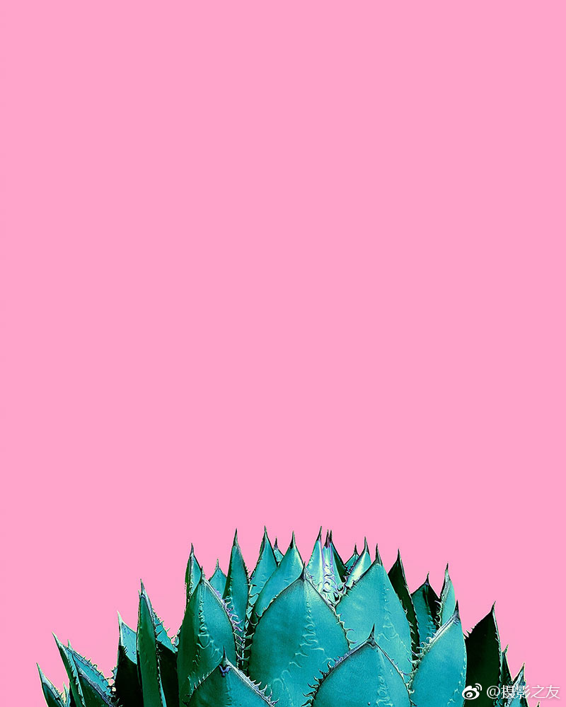 被灌满精子的苍井空