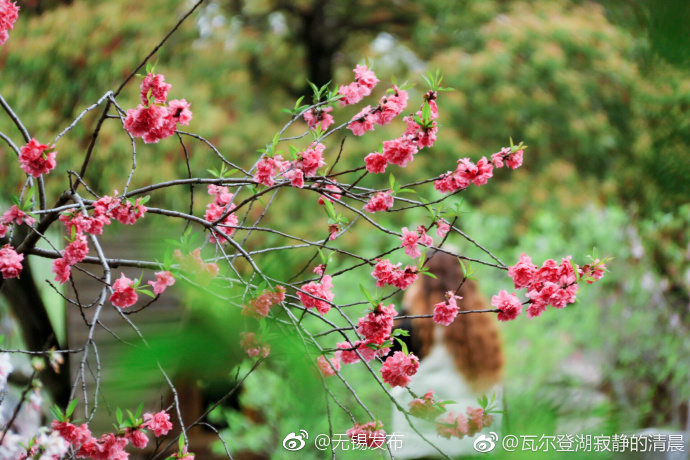 北京老熟女淫乱视频