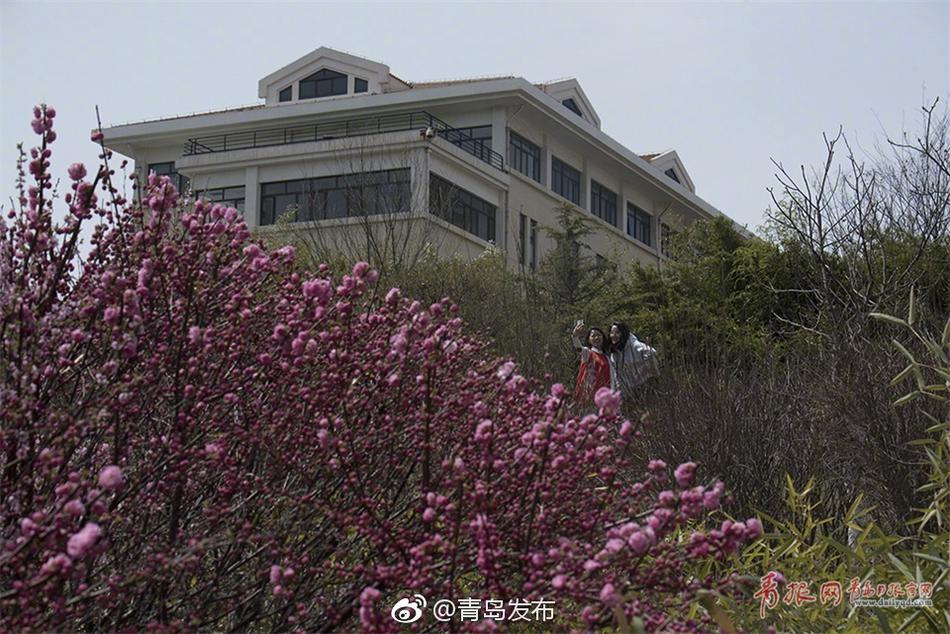《好好疼爱里面》