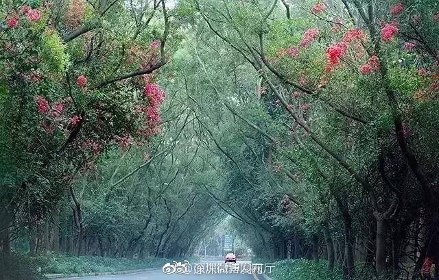 km8kw34.xyw破解版