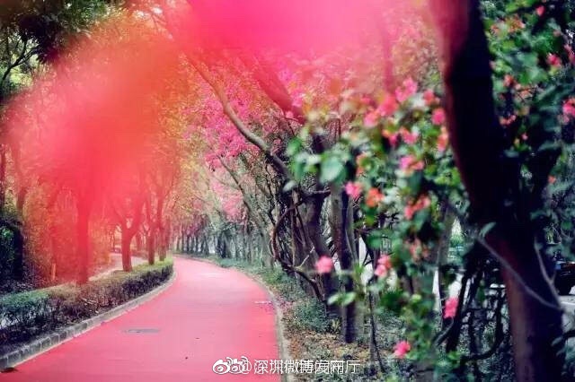 黄色网址是多少免费