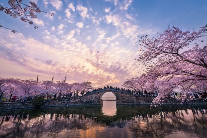 360黑客解密家居摄像头软件特色