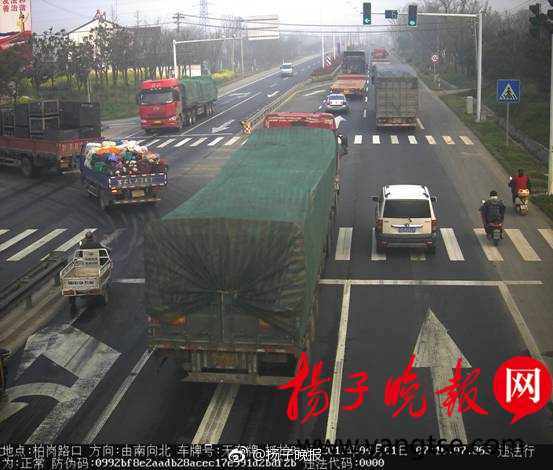 欧美日韩国产人兽