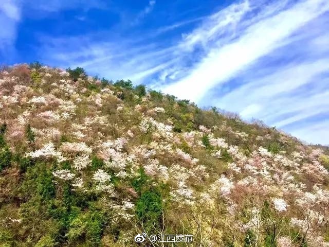 国产黄色录像网站